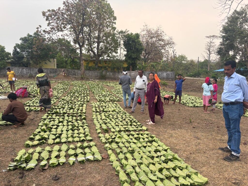 हरा सोना संग्राहकों की आय बढ़ाने की दिशा में बड़ा कदम