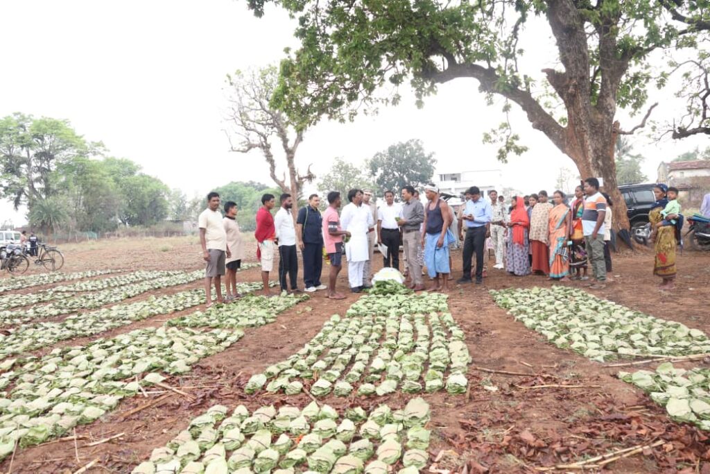 तेन्दूपत्ता संग्रहण में छत्तीसगढ़ ने बनाया नया रिकॉर्ड, अब तक 13.52 लाख मानक बोरा संग्रहित