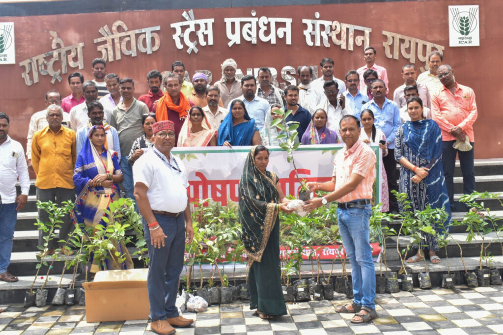 आईसीएआर-एनआईबीएसएम द्वारा ‘पोषण वाटिका’ पर प्रशिक्षण कार्यक्रम आयोजित